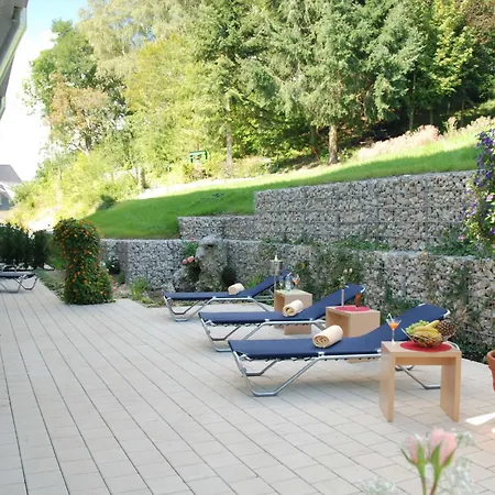 Aalener Roemerhotel Awl Aalen