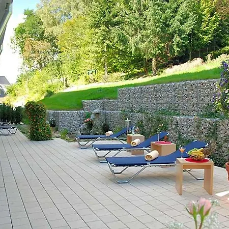 Aalener Römerhotel Awl