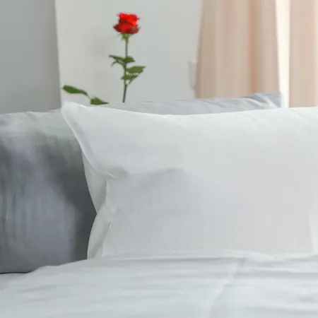 Aalener Roemerhotel Awl Hotel 3*